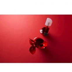 Rosti Rührbecher 0,5 L Margrethe Rot -Birkmann-Laden Ruehrbecher Margrethe rot 1l 3 600x600 ID337600 6492a41335a776b2a09b7bd250a822aa